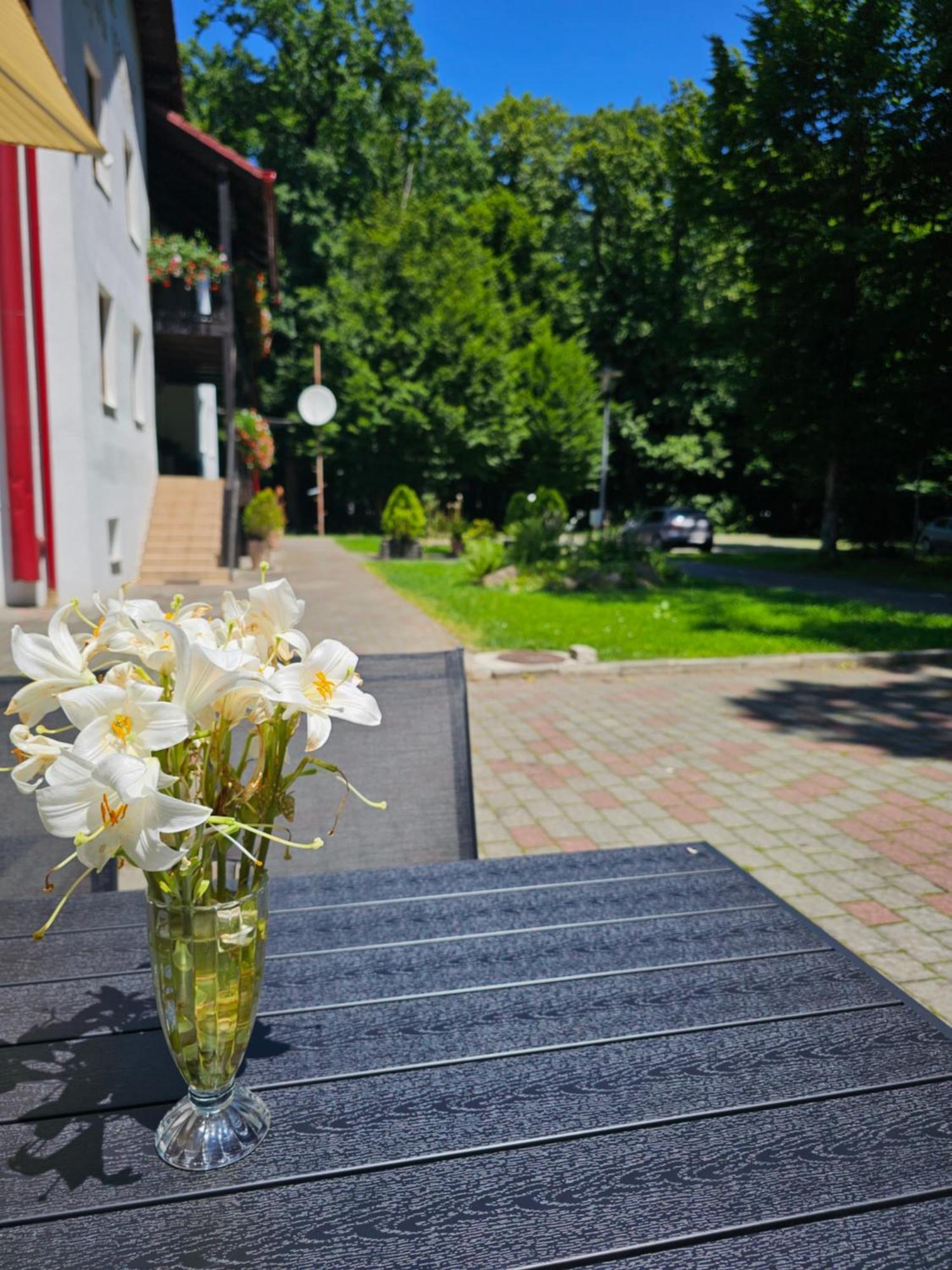 Hanul Vestem Hotel Sibiu Exterior photo